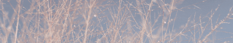 0413211335_69dcddefed777.gif