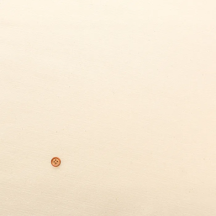 キナリシリーズ コットンバッキンガム生地